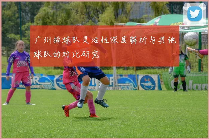 广州排球队灵活性深度解析与其他球队的对比研究