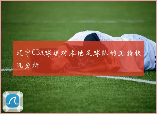 辽宁CBA球迷对本地足球队的支持状况分析