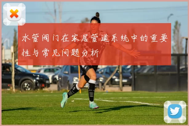 水管阀门在家居管道系统中的重要性与常见问题分析
