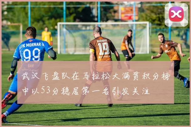 武汉飞盘队在马拉松大满贯积分榜中以53分稳居第一名引发关注