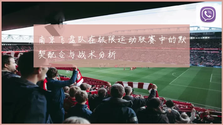南京飞盘队在极限运动联赛中的默契配合与战术分析