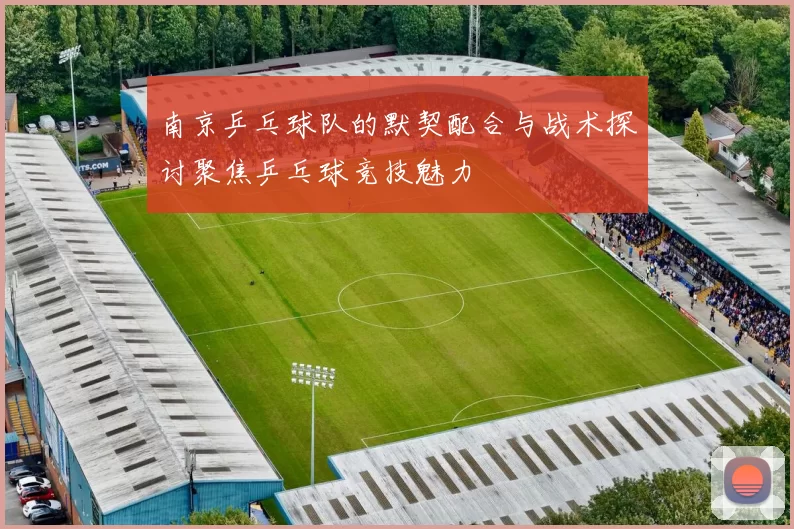 南京乒乓球队的默契配合与战术探讨聚焦乒乓球竞技魅力