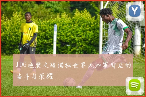 JDG逆袭之路揭秘世界大师赛背后的奋斗与荣耀