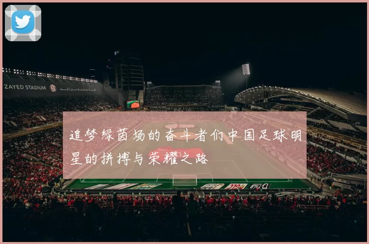 追梦绿茵场的奋斗者们中国足球明星的拼搏与荣耀之路