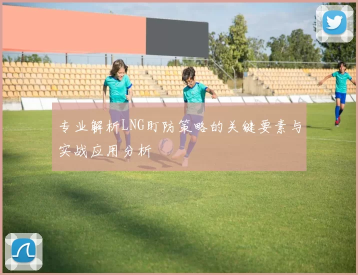 专业解析LNG盯防策略的关键要素与实战应用分析