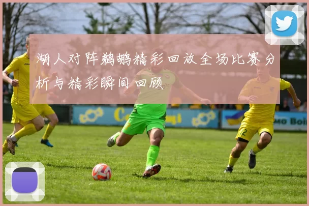 湖人对阵鹈鹕精彩回放全场比赛分析与精彩瞬间回顾