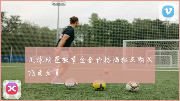 足球明星徽章全套价格揭秘及购买指南分享