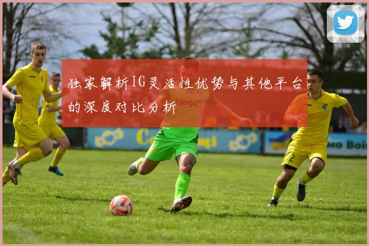 独家解析IG灵活性优势与其他平台的深度对比分析