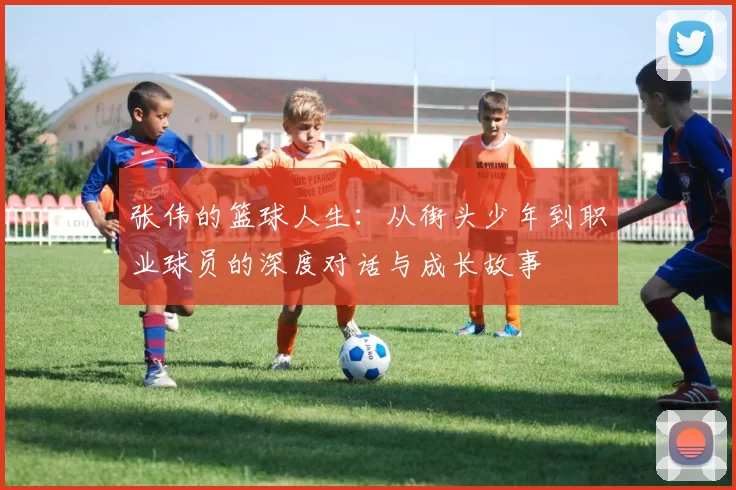 张伟的篮球人生：从街头少年到职业球员的深度对话与成长故事