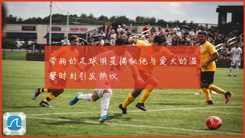 带狗的足球明星揭秘他与爱犬的温馨时刻引发热议