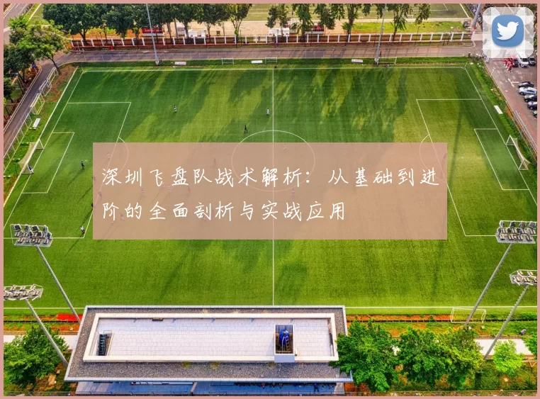 深圳飞盘队战术解析：从基础到进阶的全面剖析与实战应用