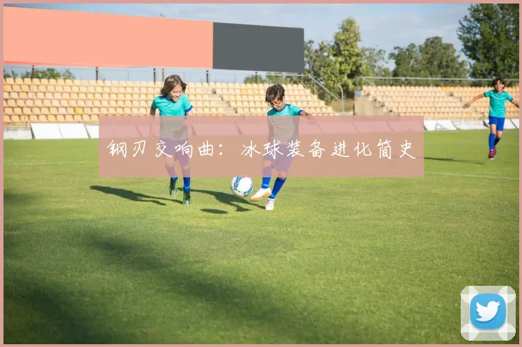 钢刃交响曲：冰球装备进化简史