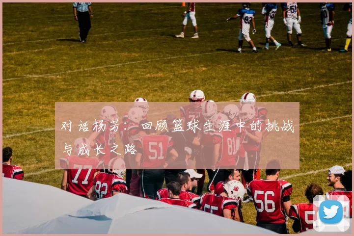 对话杨芳：回顾篮球生涯中的挑战与成长之路