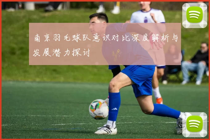 南京羽毛球队意识对比深度解析与发展潜力探讨