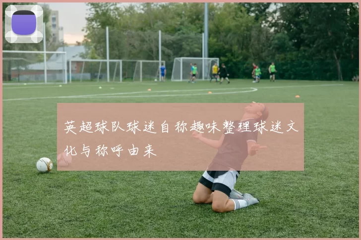英超球队球迷自称趣味整理球迷文化与称呼由来